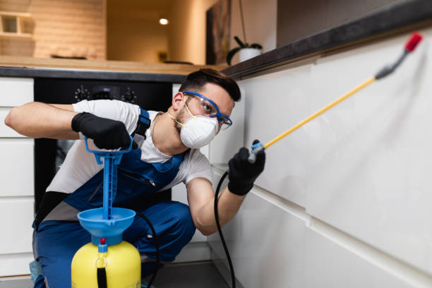 Professional Pest Control in Roanoke, VA